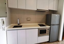 Haig 162 (D15), Apartment #507295481